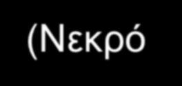 Ένα πολύ σημαντικό συστατικό της μελέτης: θα δίνει την δυνατότητα για αυτόματο υπολογισμό του οικονομικού αποτελέσματος, όπως αυτό θα διαμορφώνεται από την αλλαγή οποιασδήποτε ή οποιωνδήποτε από τις