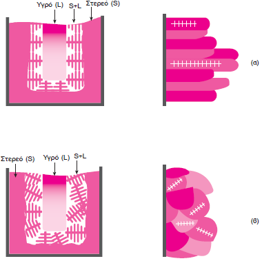 Το πρώτο στάδιο: Στερεοποίηση μτάλλου συγκόλλησης Μορφολογία των κόκκων 2 (4) Σχήμα 4: Ανάπτυξη δενδριτικής δομής στα