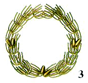 (21) Αρ. Αίτησης Σχ. ή Υπ.: 20030600007 (15) Ηµερ.Καταχώρησης: 17/01/2003 (17) Ηµ.