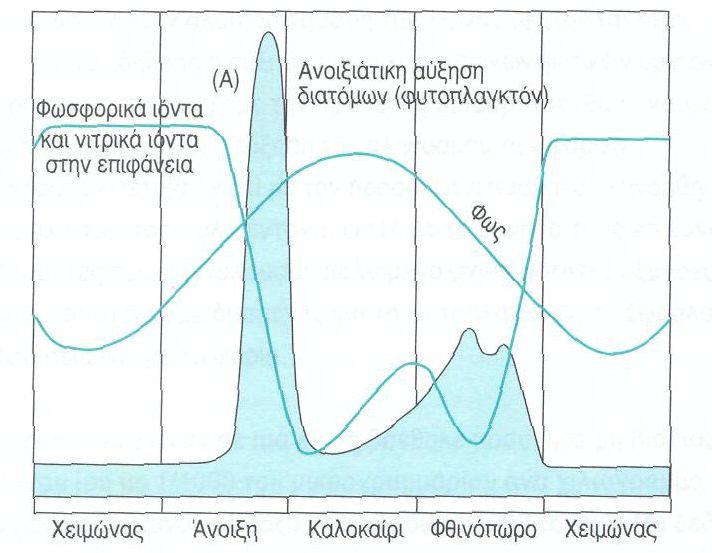 45. Να εξηγήσεις τη μορφή της καμπύλης (Α) των διατομών (φυτοπλαγκτόν) στις διάφορες εποχές. ΒΙΟΣΥΣΣΩΡΕΥΣΗ ΟΜΑΔΑ Α 46.