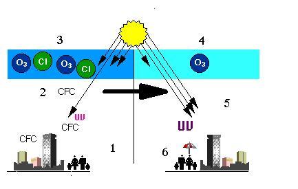 ΜΗΧΑΝΙΣΜΟΣ ΚΑΤΑΣΤΡΟΦΗΣ ΤΟΥ ΣΤΡΩΜΑΤΟΣ ΤΟΥ ΟΖΟΝΤΟΣ 1. CFCs απελευθερώνονται στην ατμόσφαιρα 2. CFCs ανέρχονται μέσα στο στρώμα του όζοντος 3.
