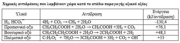 Οξικογένεση Κατά την οξικογένεση οι οξικογόνοι μικροοργανισμοί αποδομούν περαιτέρω το προπιονικό, n-βουτυρικό και βαλερικό οξύ σε οξικό οξύ, διοξείδιο του άνθρακα και υδρογόνο Οι οξικογόνοι