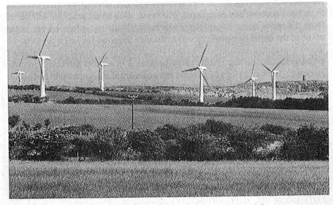 3.6. Κοινωνικά θέματα Εικόνα 3.1.