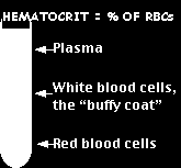 Βασικό γνωσιολογικό υπόστρωμα Το αίμα αποτελείται από: ερυθρά και λευκά αιμοσφαίρια, αιμοπετάλια και πλάσμα Στον ενήλικα υπάρχουν 2 είδη αιμοσφαιρίνης (Hb A 97%, Hb A2 1.8-3% και ίχνη HbF.