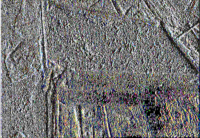 Εικ. 7.