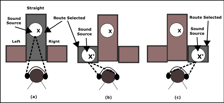 ένας ήχος δεν είναι προφανής στο χρήστη (Dodiya & Alexandrov, 2008). Εικόνα 7. Η πηγή του ήχου βοηθά το χρήστη να αποφασίσει τη διαδροµή που θα ακολουθήσει (Dodiya & Alexandrov, 2008).