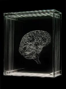 ΙΙ. Νευρώνας- Εγκέφαλος- Συμπεριφορά The mind is what the brain does Everything psychological is biological Βασικές αρχές/παραδοχές: Ο εγκέφαλος