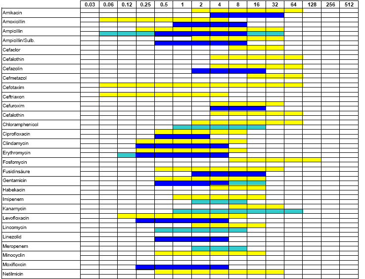 Αραιώσεις αντιβιοτικών Gram