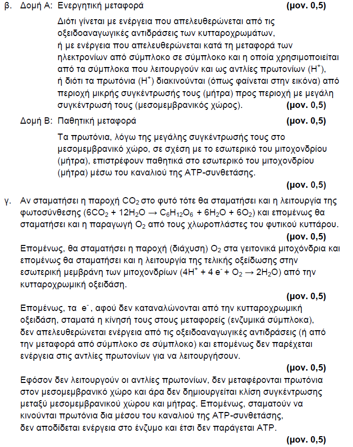 ΧΡΙΣΤΙΝΑ