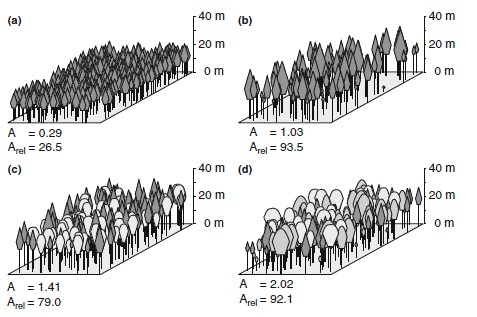 Δείκτης προφίλ των ειδών (Species profile) Όπου: κλάσεων ύψους Pretzsch (1995) S = ο αριθμός των ειδών, Ζ = ο αριθμός των Ορίζεται ως τα αθροίσματα των κλάσεων ύψους και του ποσοστού του κάθε είδους