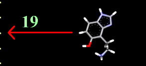 Ενέργεια (KJ/mol) 14 0,8 Κάθε διαµόρφωση έχει