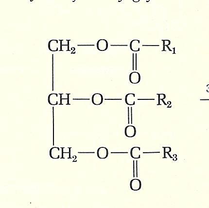 HSL