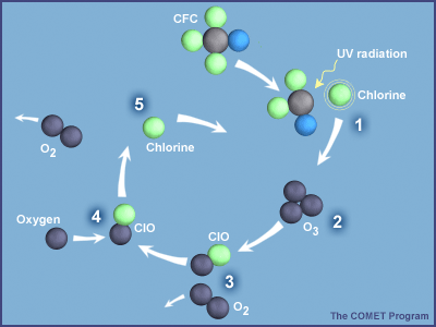 ΧΗΜΕΙΑ ΤΩΝ CFCs Η UV ακτινοβολία διασπά ένα άτομο Cl από το μόριο του CFC Το άτομο χλωρίου διασπά το μόριο O 3 καταστρέφοντας το O 3 Το αποτέλεσμα είναι η παραγωγή μορίου O 2 και μορίου ClO Το ClO
