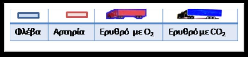 Πνευμονική κυκλοφορία Το αίμα, όταν επιστρέφει στην καρδιά, έχει ολοκληρώσει το έργο του, δηλαδή: Έχει προσφέρει οξυγόνο στα κύτταρα για να επιτελέσουν τις λειτουργίες τους, με αποτέλεσμα η