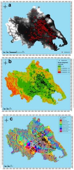 Geographical Information Systems