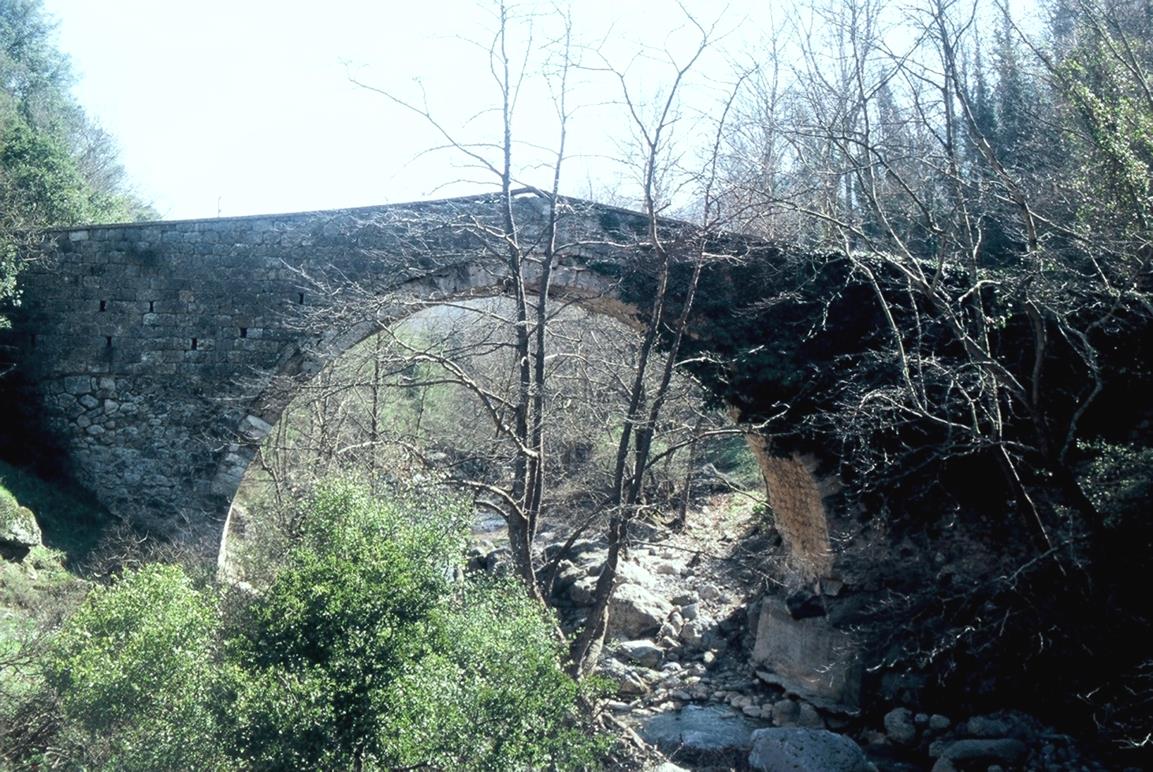 Β ρ α σ ι ά της ( Αγ ί ο υ Αν δ ρ έ α ) ποτα μ ό ς - Πλάτανος: Το μονότοξο γεφύρι κτίστηκε με χρήματα (μάλλον στα μέσα του 19ου αιώνα, κατά άλλους το 1826 με πελεκητές πέτρες)