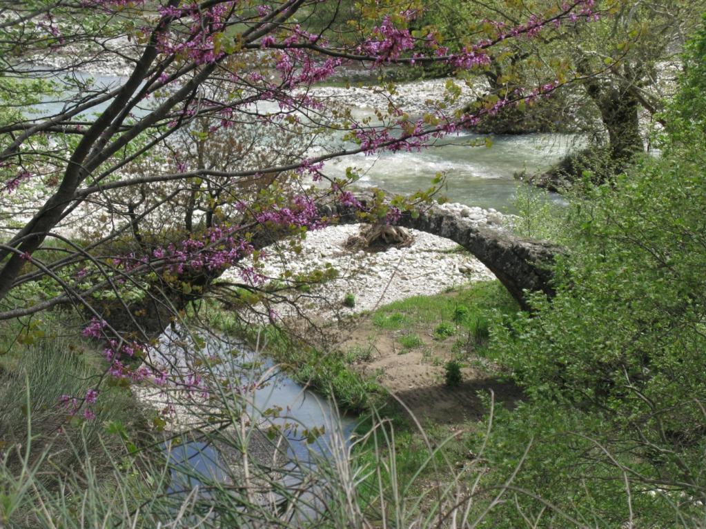 ΠΑΛΑΙΟΚΑΜΑΡΑ ΜΟΥΖΑΚΙΟΥ Σύμφωνα