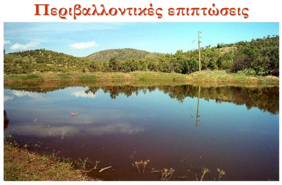 Κοινωνία Μορφές χρωμίου στην φύση Τρισθενές, Cr(III) και εξασθενές Cr(VI) χρώμιο.