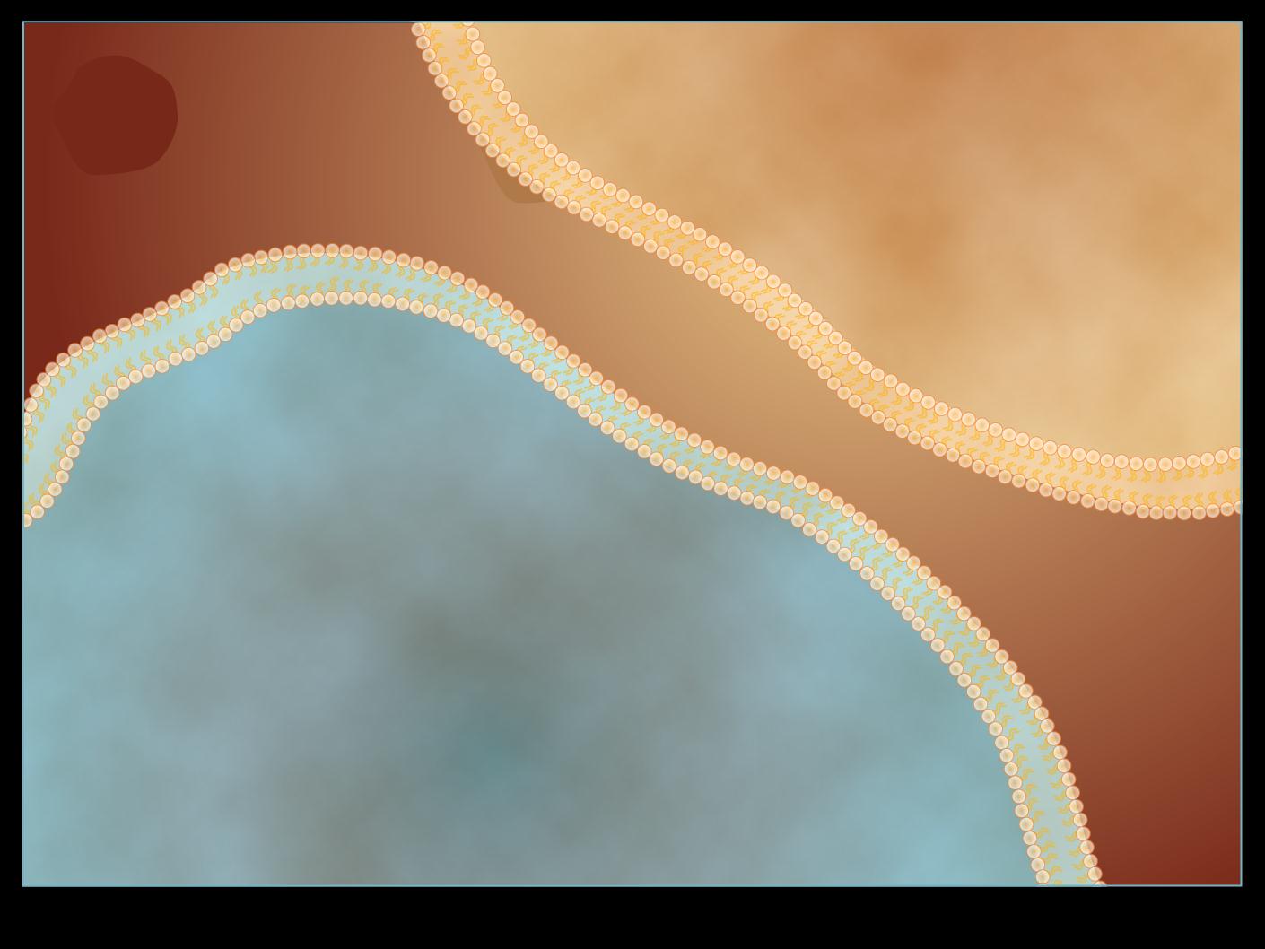 mtor Signaling Pathway Inhibition EGFR, epidermal growth factor receptor; HER2, human epidermal growth factor receptor 2; HIF-1α, hypoxia-inducible factor 1α; IGF-1R,