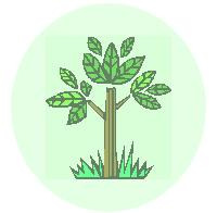 ΕΙΓΜΑ ΕΡΩΤΗΣΗΣ 6 Είδος: Ερώτηση Εφαρµογής Πολύ ύσκολη α) να τοποθετήσετε το δένδρο
