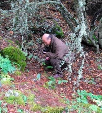 Εντόσ των ΜΑΦ γύνεται: Συνεχόσ παρακολούθηςη όλων των παραμϋτρων που επηρεϊζουν τισ περιοχϋσ αυτϋσ.