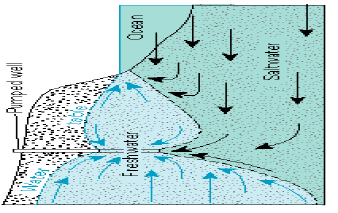 Έχουν σημειωθεί συγκεντρώσεις αλάτων στα επιφανειακά στρώματα του Αργολικού πεδίου που φτάνουν στα 35000-40000 mg/l (θαλάσσιο νερό: