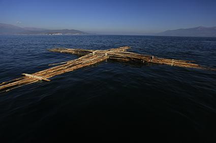 νερού ως πνευματικής ύλης Με βάση τη δυναμική της Πορείας και τις θεματικές που έχουν καλυφθεί μέχρι τώρα, η επόμενη θεματική θα έχει τίτλο: ΟΙ ΡΟΕΣ ΤΩΝ ΠΡΑΓΜΑΤΙΚΟΤΗΤΩΝ Η κυριαρχία του νερού ως