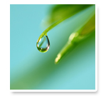 World Community Grid Computing for Clean Water Computing for Clean Water: Η αποστολή αυτού του Project, είναι να παρέχει βαθύτερη κατανόηση, σε μοριακή κλίμακα, της ροής καθαρού νερού μέσα από μία