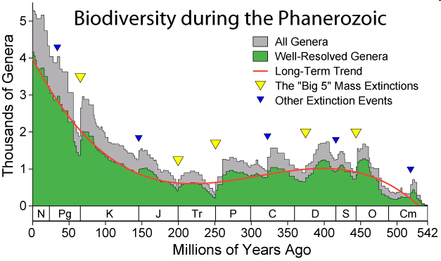 Γνωρίζουμε από το αρχείο των απολιθωμάτων ότι η βιοποικιλότητα αυξάνει τα τελευταία 600 εκ. χρ.