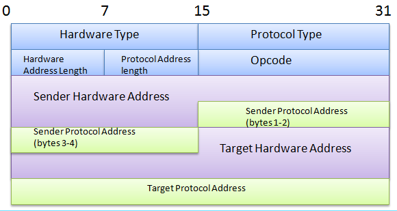 Μορφή Επικεφαλίδας ARP Hardware Type: Προσδιορίζει τον τύπο του δικτύου. 1 για το Ethernet. Protocol Type: Προσδιορίζει το πρωτόκολλο για το οποίο ζητήθηκε η διαδικασία του ARP. 0x0800 για το IPv4.