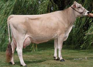 VICTORY ΤΜΒΑΣΙΚΟ 1BS00586 VICTORY ACRES VIGOR POKER ET USDA-CDCB, CRI 4/2015 Ηκεξνκελ. γέλλεζεο: 1/03/2009 Reg.
