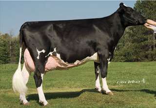 FLOYD ΤΜΒΑΣΙΚΟ 1HO10028 CO-OP UPD GOLDWYN FLOYD-ET Ηκεξνκελ. γέλλεζεο: 7/01/2009 Reg.
