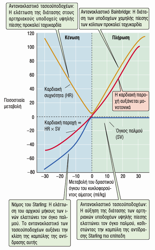 Η Καρδιακή Παροχή είναι ανάλογη του Δραστικού Όγκου Αίματος Αντανακλαστικό Bainbridge: Αύξηση της Φλεβικής Επιστροφής (Διάταση των Υπ.
