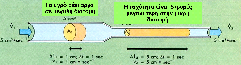 συνολική διατομή Β είναι