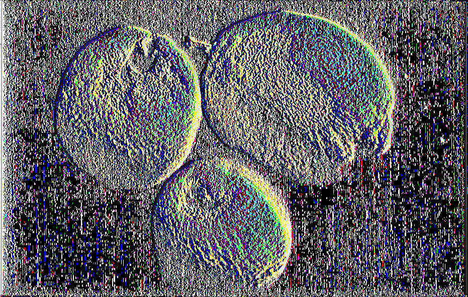 Εικόνα 17. «Λεμόνια με αργύρωση του φλοιού τους από το Aculus Pelekassi».