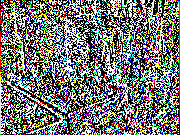 Εικόνα 5.1. Πέρασμα από το μηχάνημα Βεϋχ Ιιορρε 3. μετά βγαίνει υπό τη μορφή μακαρονιού.