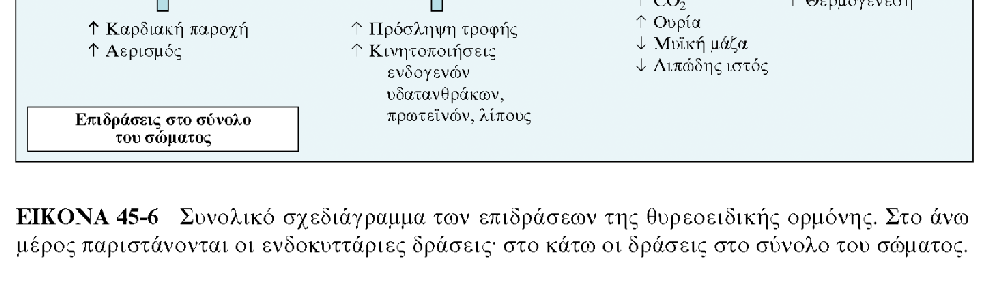 APXEΣ ΦYΣIOΛOΓIAΣ, TOMOΣ II