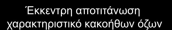 1. Αμάρτωμα 2. AVM 3. Κοκκίωμα 4. Φυμάτωμα 5.