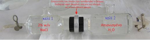 (β) Σχήμα 2: (α) Πειραματική διάταξη για τον προσδιορισμό της διαπερατότητας σε ιόντα χλωρίου, (β) κυψέλη προσδιορισμού όπου διακρίνονται τα κελιά 1,