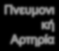 Αντίθετα, ο αέρας που φθάνει στις κυψελίδες είναι πλούσιος σε οξυγόνο και έχει χαμηλή συγκέντρωση διοξειδίου του άνθρακα.