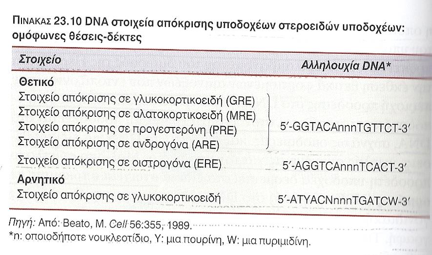 Σ ΕΝΑ ΔΕΔΟΜΕΝΟ ΚΥΤΤΑΡΙΚΟ ΤΥΠΟ, Ο ΤΥΠΟΣ ΤΟΥ ΥΠΟΔΟΧΕΑ ΠΟΥ ΕΚΦΡΑΖΕΤΑΙ ΚΑΘΟΡΙΖΕΙ ΤΗΝ ΟΡΜΟΝΙΚΗ