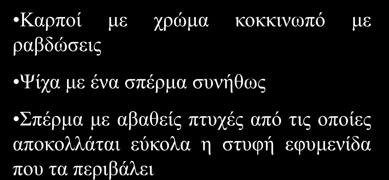 Κάστανα Μαρρόνια ΠΟΙΚΙΛΙΕΣ Καρποί με χρώμα βαθύ καστανό Ψίχα με περισσότερα του ενός σπέρματος (2-5) Σπέρμα με βαθειές πτυχές που εισχωρεί η στυφή εφυμενίδα που τα