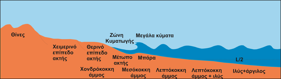 Σχήμα 3.9 Δομή ακτής και υλικά που αποτίθενται Εκτός από τα κύματα, τα θαλάσσια ρεύματα που κινούνται κατά μήκος των ακτών είναι πολύ σημαντικός παράγοντας μεταφοράς και απόθεσης ιζημάτων.