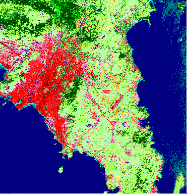 Εικόνα 33 : Δορυφορική απεικόνιση περιοχής μελέτης 2010.