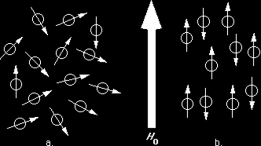 Figure 5-2: Δονήσεις κάμψης 5.