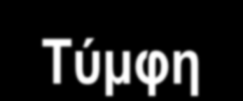 Στις δυτικές πλαγιές της Τύμφης (ονομάζεται και 'Γκαμήλα' από τους ντόπιους) βρίσκονται οι παραδοσιακοί οικισμοί Μικρό και Μεγάλο Πάπιγκο.