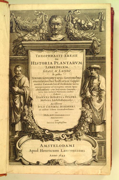 Ο Αριστοτέλης ως βοτανολόγος Στο Λύκειο υπήρξε ο πρώτος βοτανικός κήπος της ιστορίας Ο μαθητής του Θεόφραστος