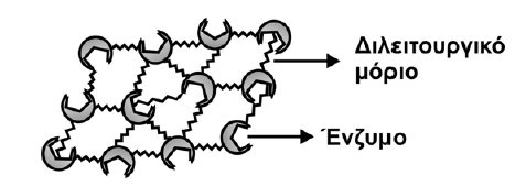 Διασταυρούμενη ή διαμοριακή σύνδεση (cross-linking) Η μέθοδος διαμοριακής σύνδεσης χρησιμοποιείται συχνά και πολλές φορές συνδυάζεται και με άλλες μεθόδους προκειμένου να περιοριστεί η εκρόφηση του