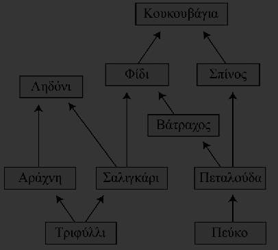 Α. Να γράψετε τις διαφορετικές τροφικές αλυσίδες που παρατηρούνται στο οικοσύστηµα. Μονάδες,5 Β. Να κατατάξετε τους οργανισµούς σε όλα τα δυνατά τροφικά επίπεδα. Μονάδες,5 Γ.