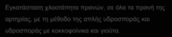 Εγθαηάζηαζε ριννηάπεηα πξαλώλ, ζε όια ηα πξαλή ηεο αξηεξίαο,